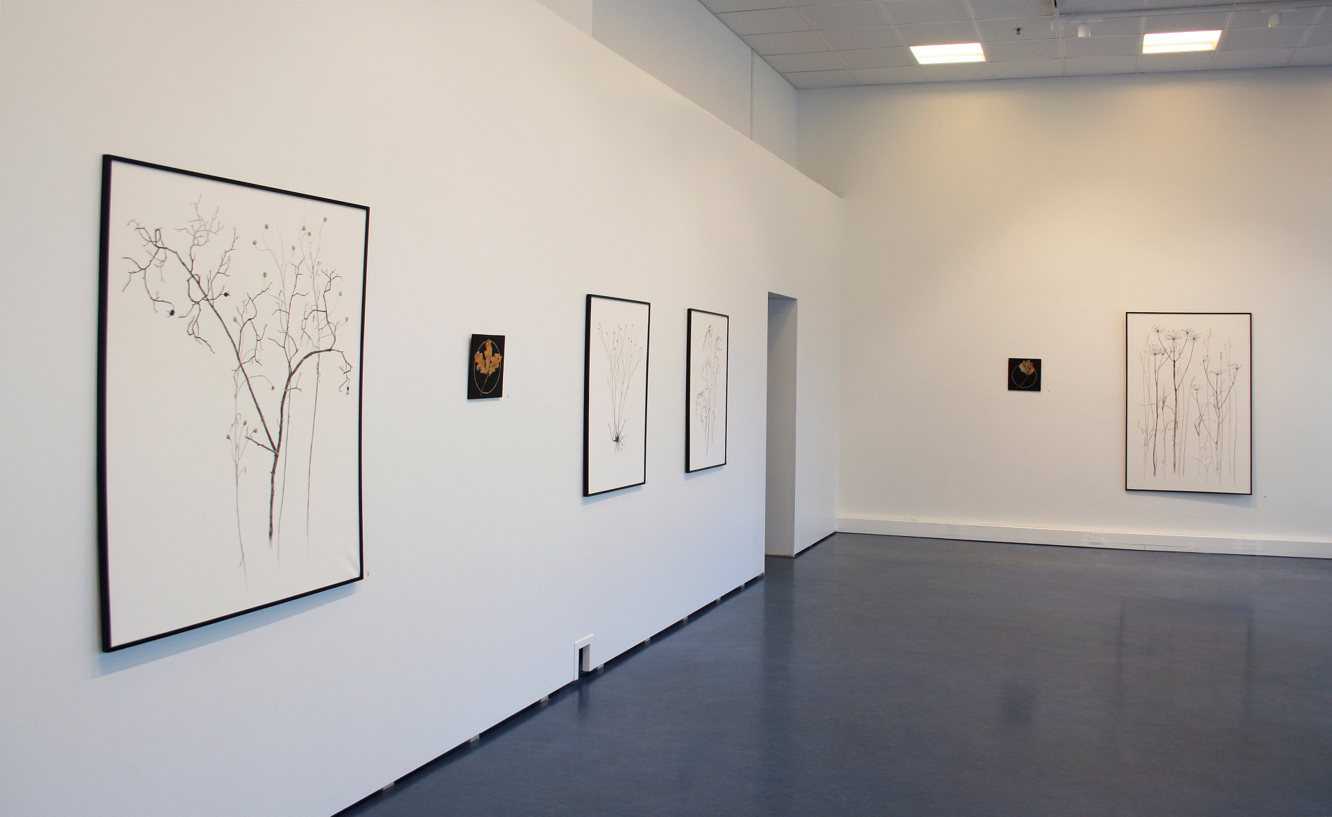 Udi Salmiaitta Taidehalli Häme