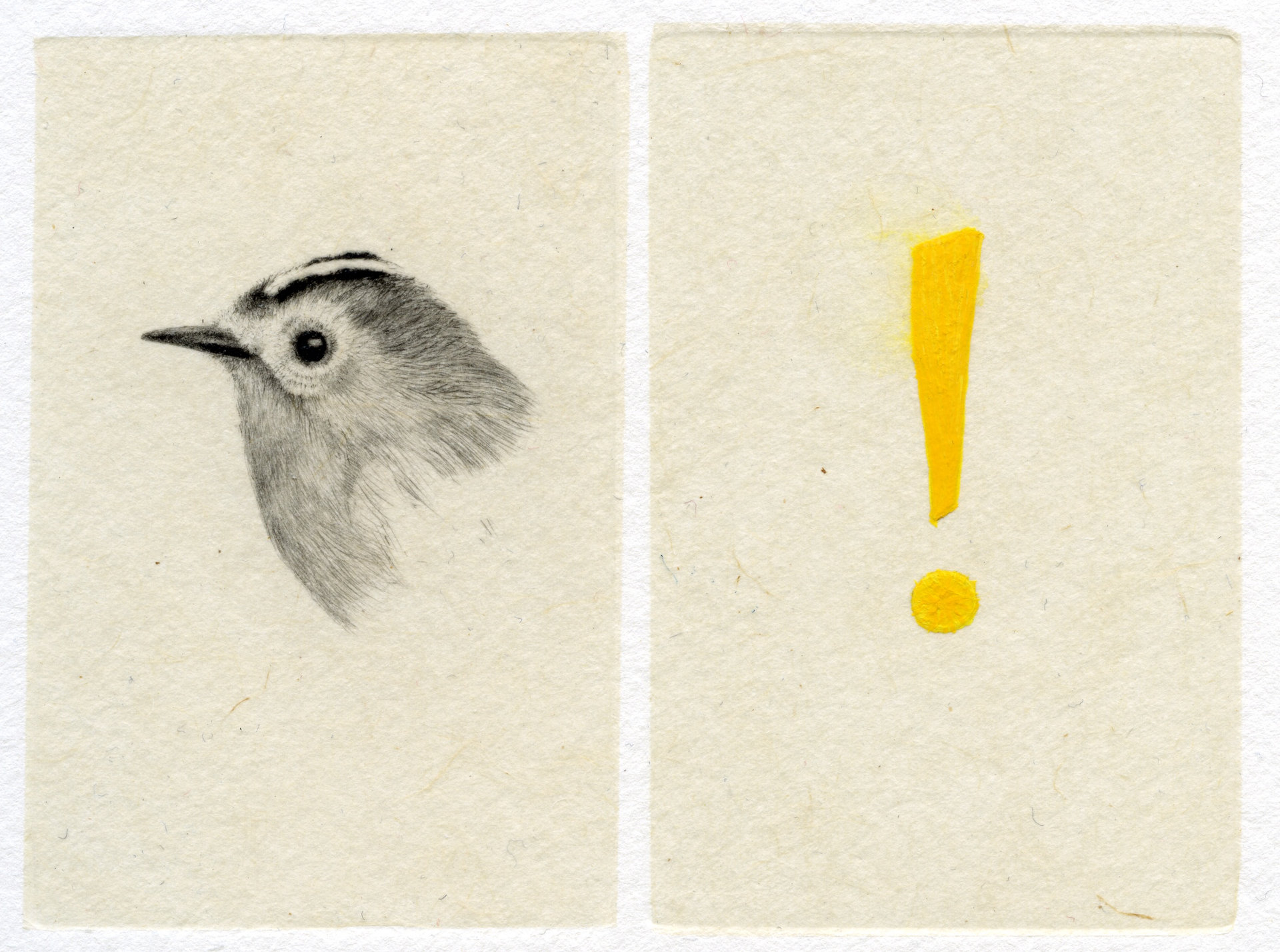 Maija Albrecht Taidehalli Häme 2026